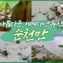 [UHD 한국 100경] 아름다운 세계자연유산 '순천만' 이미지