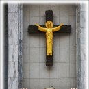 분당요한성당 이미지