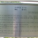 동점마을 암각문 이미지