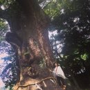 제이안마시술소 이미지