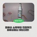 귀걸이 염증 진정에 효과 본 피어싱토너 스터덱스 후기