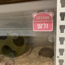 반짝반짝 - 고양시 일산동구 일산로463번길 51-2 | 반짝반짝