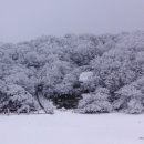 백록담농수산