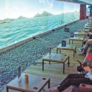 조이스포츠스크린 이미지