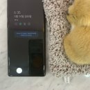 중고세상 네이버블로그