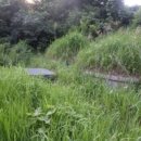 완산-140 이미지