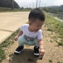 빅타이니 이미지