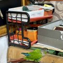 국일삼계탕 이미지