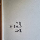 텔리뷰티