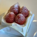 케익하우스 파티쉐 | 경주 황리단길 카페 커들리하우스 내돈내산 후기 포토존 가득 딸기케이크 맛평가