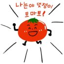 슈키 이미지