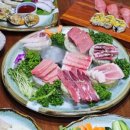 참치어때 - 서구 치평로 124 | 참치어때