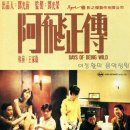 1990년 영화 '아비정전' OST / Always in My Heart - 로스 인디오스 타바하라스(기타 듀오) 이미지