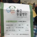 율전동물병원 이미지