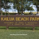 카일루아(Kailua) 이미지