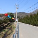 고려산 진달래축제 이미지