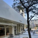 양재시민의숲역 1번출구 | [양재시민의숲] &#39;엘빙 할루카&#39; _ 2만원대로 즐길 수...양재 생망고🥭/생딸기🍓 빙수 솔직후기🍧 (8/10)