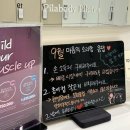 광주광역시 서구 서창동 주민센터 대회의실 | 서창동필라테스, 허리 통증 달고 살던 내가 진통제 끊은 이유