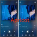 【Apricot】윤산하【Dive】스트리밍 인증 이미지