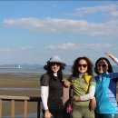 힐링 - 화성시 31만세로 69-5 | 힐링