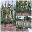 재한농장 이미지