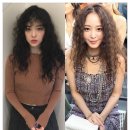 설리헤어