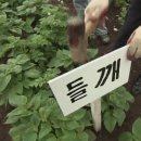 남광푸드 이미지