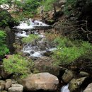 구룡소교량 이미지