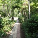 버들치민박 이미지