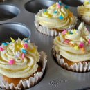 스타벅스 구로고척점 | 20251121-22 플레이브 아시아투어 Dash QuantumLeap Encore 콘서트 in 고척스카이돔💙💜💓❤️🖤