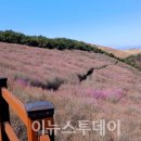 화왕산 이미지