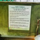 대희농장 | 아이와갈만한곳]강릉당일치기 대관령아기동물농장