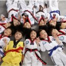 새하늘용인대태권도 이미지