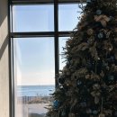 마티에 오시리아 이미지