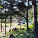 청암운수(주) | 대명도경(大明度經) 제5권 (212회) 청암 스님