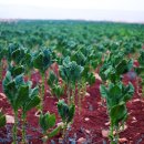 흙이야기 이미지