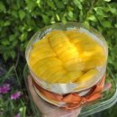 윤지네 | 서울과일케이크택배 망고케이크맛집 윤지네과자점 당일택배 후기