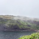 우도사랑협동조합 | 제주도 우도 가는 법 성산항 배 시간표 및 버스투어 코스 가격 정리