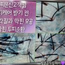 큐사랑미채뷰티 이미지