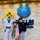 고려 태극태권도장 이미지