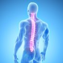 중앙신경외과의원 이미지