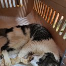 청북새싹길 이미지