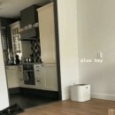 고양이동산 이미지