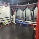 용인대 Y 멀티짐 이미지