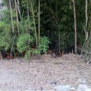 원스농장 이미지