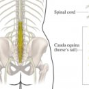 창포경희한의원 이미지