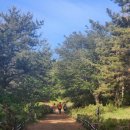 내가 더 이미지