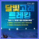 달빛 고래 트레킹 이미지