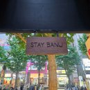 스테이바누 이미지