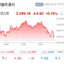 [상한가/천만주] 10월 10일, 티웨이항공경영권분쟁, 흑백요리사관련, 바이오관련, 개별주
